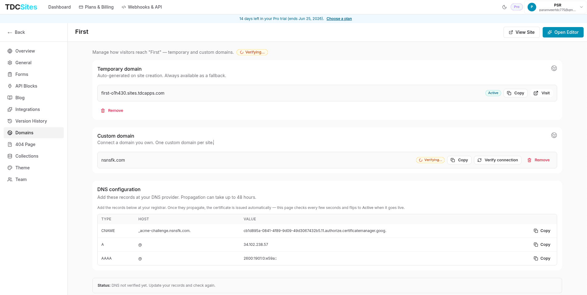 Domains Dashboard Panel