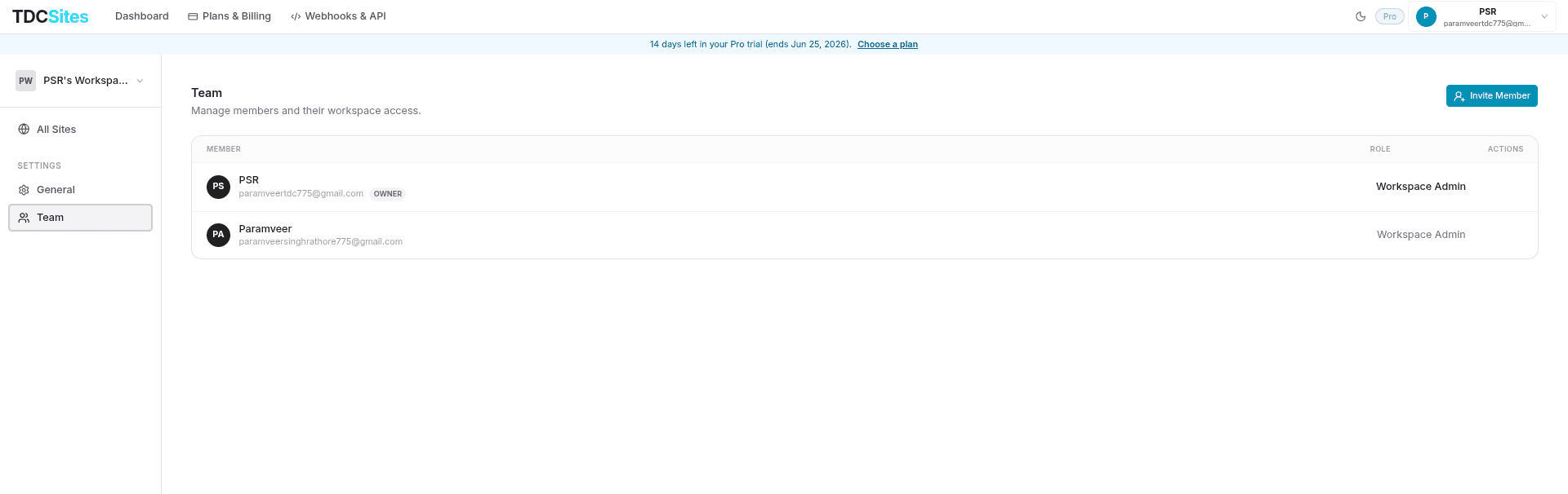 Workspace Team tab showing member list and invites